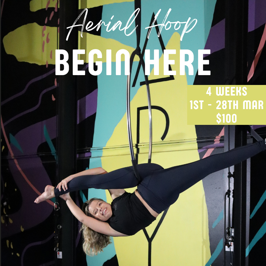 Aerial Hoop Intro Course